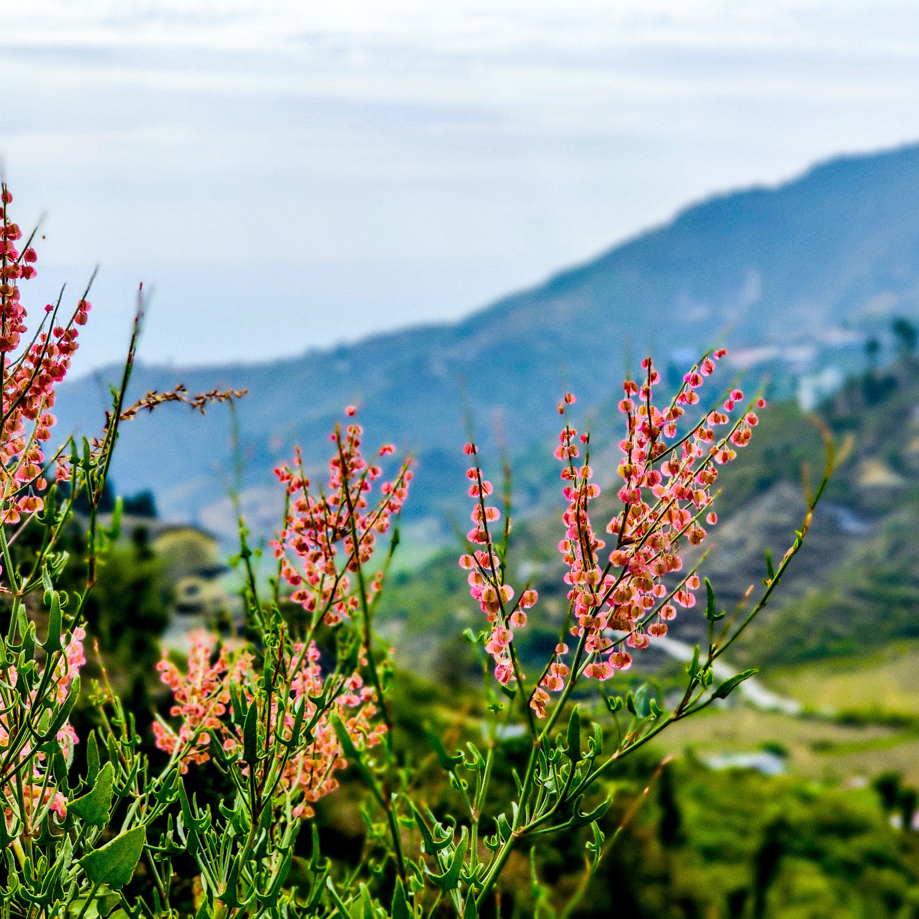 Photo of Tehri Garhwal